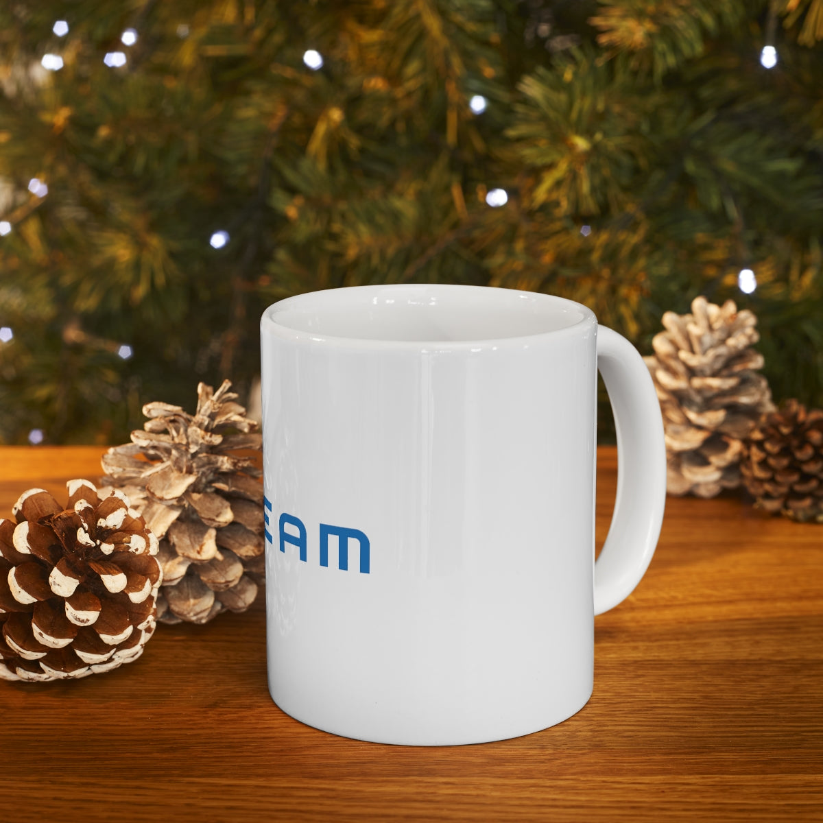 FITTEAM Ceramic Mug 11oz